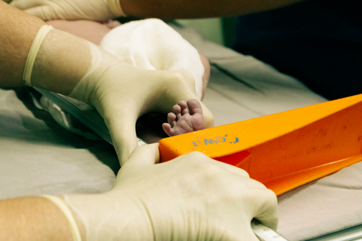 Read more about the article Will a BLUETTI Elite 300 Run a Infant Warmer (6.4Hr Runtime)