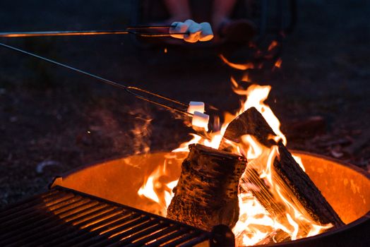 Read more about the article Will a Jackery Explorer 300 Power a S’mores Maker (0.6Hrs)